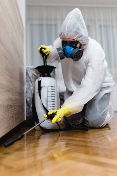 Best Bed Bug Extermination  in Contra Costa Centre, CA